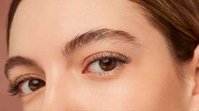 Ilustrasi alis dan bulu mata
