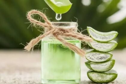 Ilustrasi minuman dari Lidah buaya