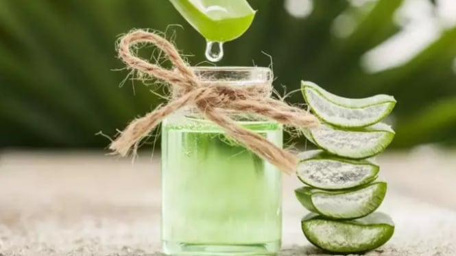 Ilustrasi minuman dari Lidah buaya