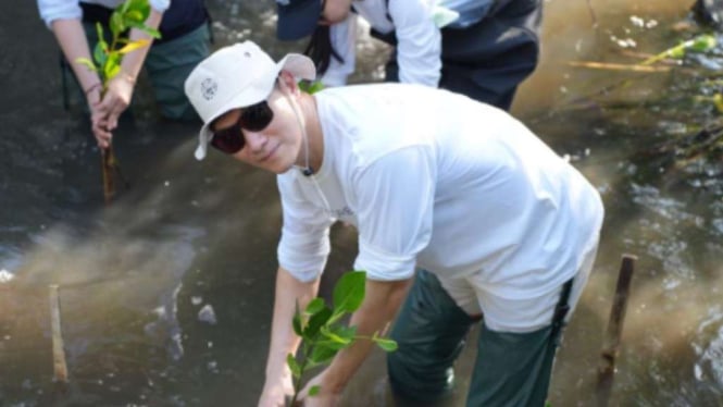 Tanam pohon mangrove.