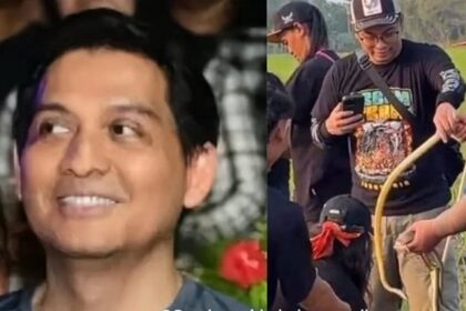 Bupati Indramayu Lucky Hakim Lepas Ribuan Ular ke Sawah untuk Atasi Serangan Hama Tikus