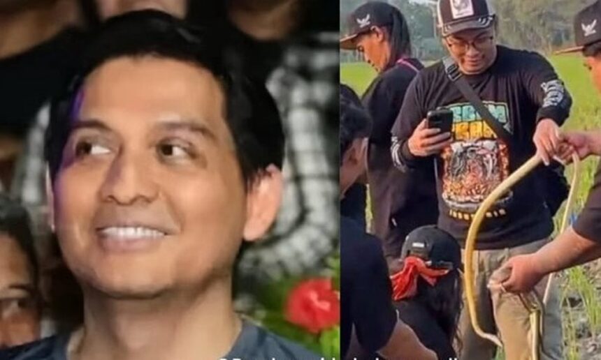 Bupati Indramayu Lucky Hakim Lepas Ribuan Ular ke Sawah untuk Atasi Serangan Hama Tikus