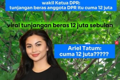 Tunjangan Beras Anggota DPR Rp12 Juta Sebulan, Respons Kaget Ariel Tatum Jadi Sorotan