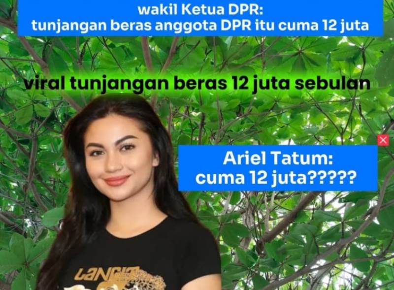 Tunjangan Beras Anggota DPR Rp12 Juta Sebulan, Respons Kaget Ariel Tatum Jadi Sorotan