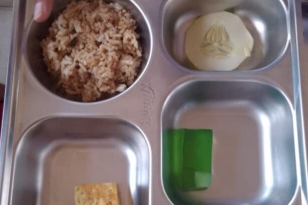 Guru SMPN 3 Jayapura Viralkan Menu MBG Cuma Nasi, Tahu, dan Irisan Timun, Wamen Stella Christie Kena Sindir