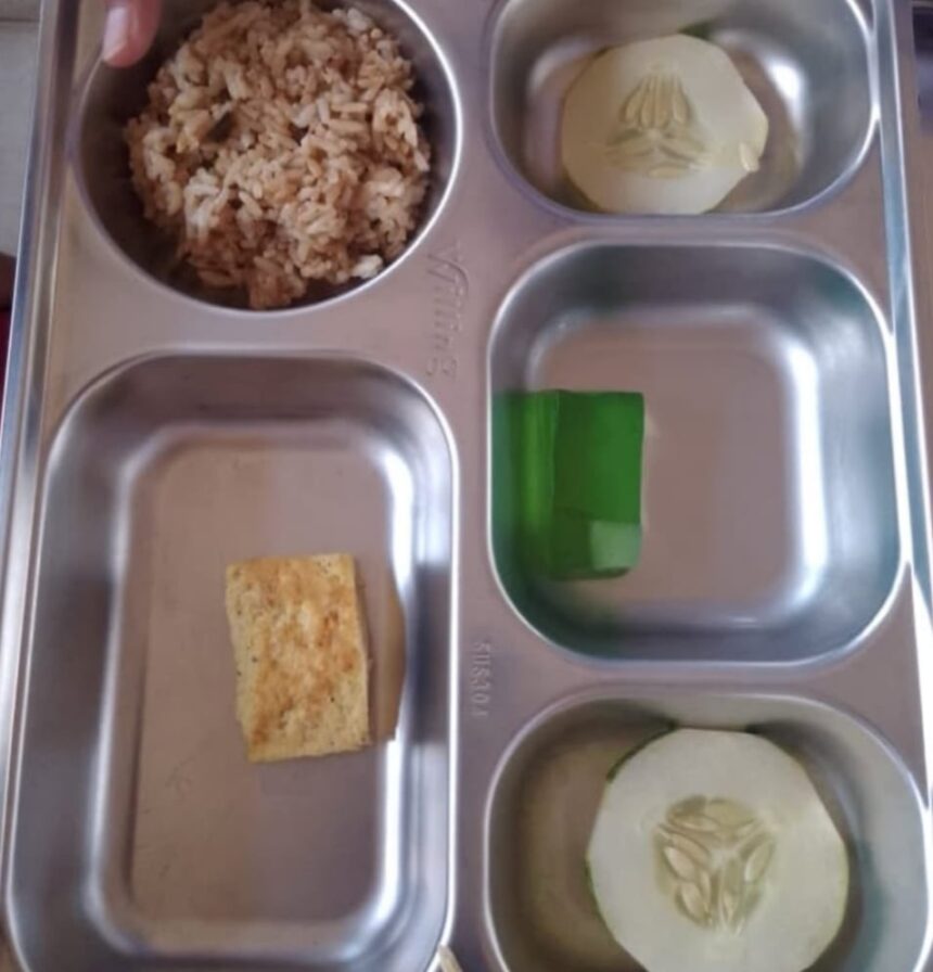 Guru SMPN 3 Jayapura Viralkan Menu MBG Cuma Nasi, Tahu, dan Irisan Timun, Wamen Stella Christie Kena Sindir
