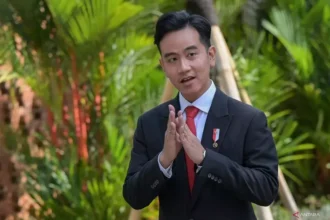 Warganet Tak Temukan Nama Gibran sebagai Alumni Mahasiswa Resmi di Singapura, Dokter Tifa: di Ruko Mana Dia Kuliah?