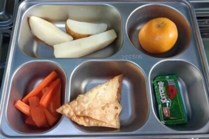 Viral! Menu MBG di SDN Depok Cuma Pangsit - Kentang Rebus dan Saus Sachet, Begini Penjelasan Pihak Sekolah