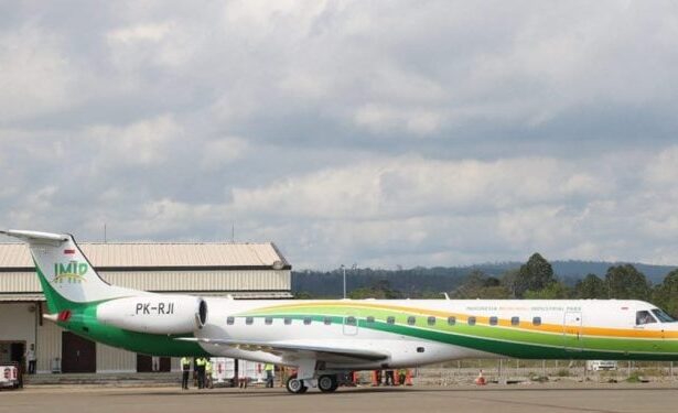 Bandara ‘Istimewa’ di Kawasan Tambang Nikel Morowali Diresmikan Era Jokowi, Prof Henri: Siapa yang Melindungi?