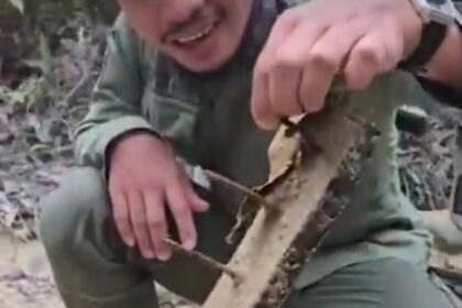 Ranjau Paku Ditemukan di TN Tesso Nilo, Laode Syarif: Penjahat Lingkungan Ada di Mana-mana