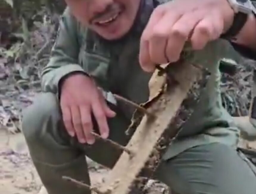 Ranjau Paku Ditemukan di TN Tesso Nilo, Laode Syarif: Penjahat Lingkungan Ada di Mana-mana