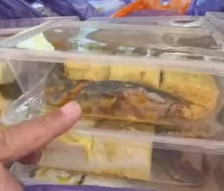 Lele Mentah Jadi Menu MBG di Pamekasan, P2G: Sekolah dan Siswa Korban Sistem