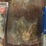 Paket Makanan Mentah MBG, Siswa dapat Ikan Nila Berdarah-Darah