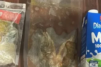 Paket Makanan Mentah MBG, Siswa dapat Ikan Nila Berdarah-Darah