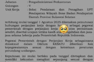 ‘Good Bye PPPK’, Pegawai Ini Pilih Mundur: Pesannya Bikin Haru