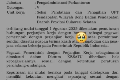 ‘Good Bye PPPK’, Pegawai Ini Pilih Mundur: Pesannya Bikin Haru